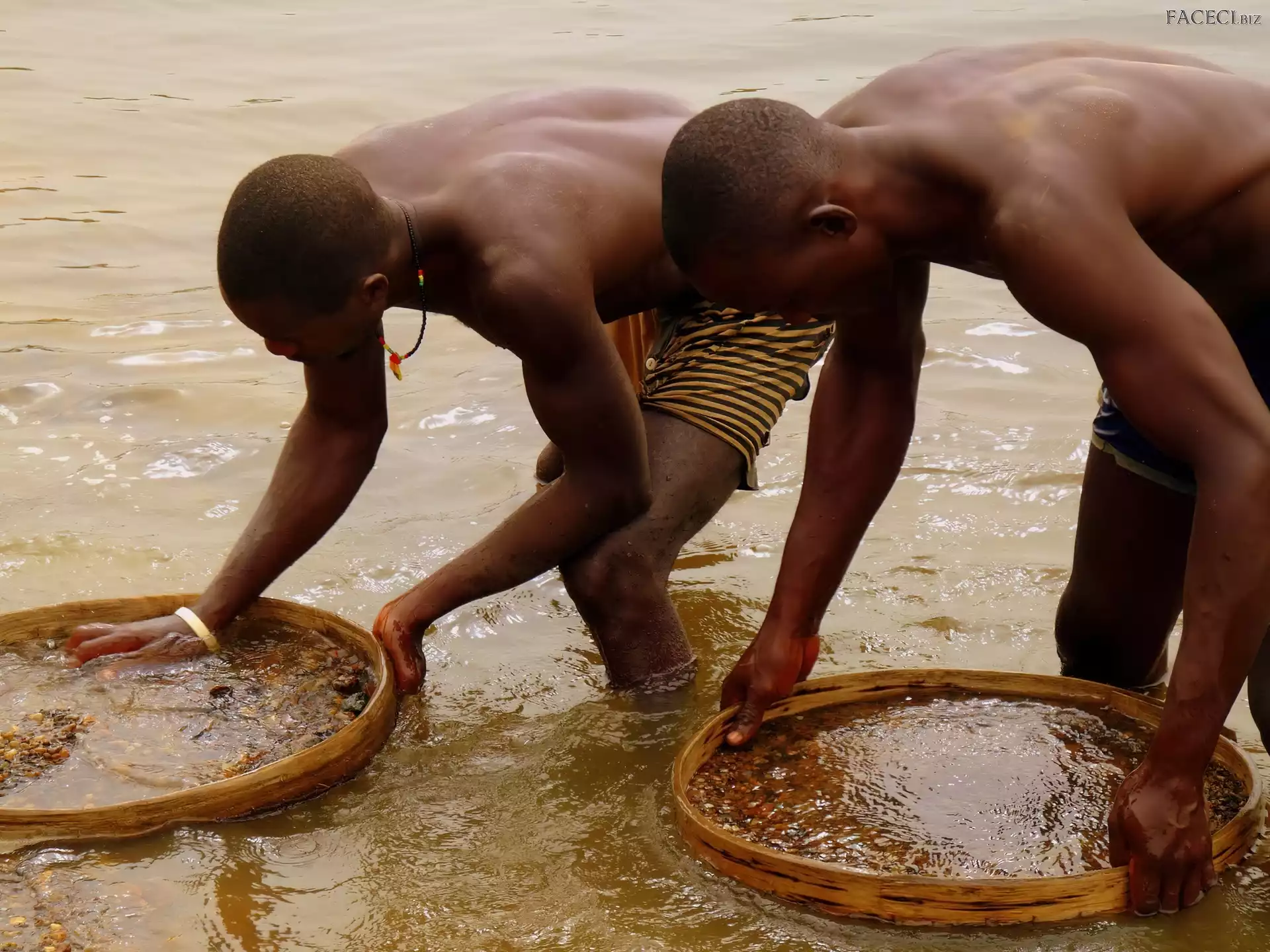 Leone, Sierra, Płukanie, Mężczyźni, Złota